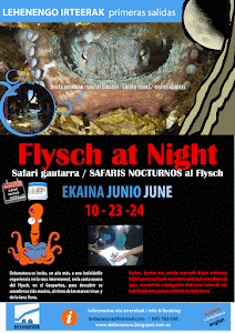 FLYSCH AT NIGHT-SAFARIAK