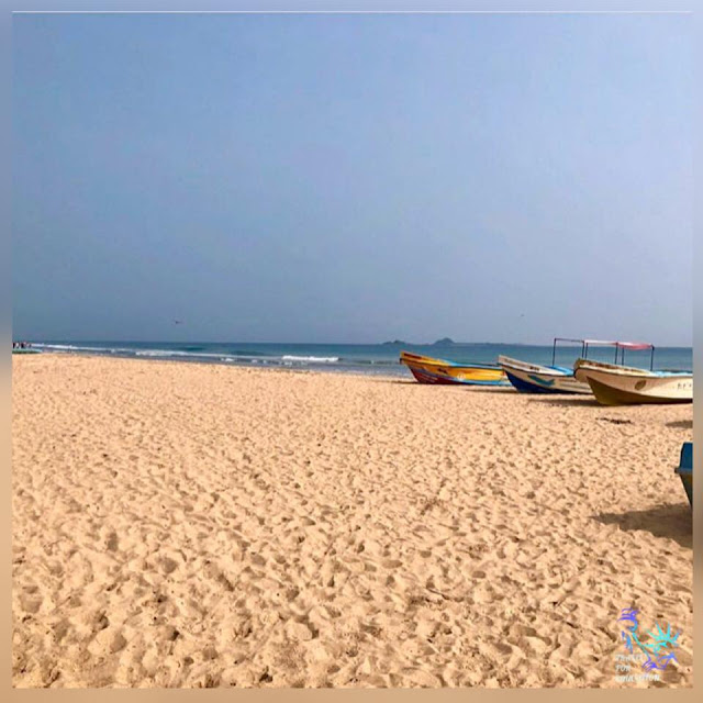 ඔත්තු පරවියන් විසු - පරවී දූපත 🕊🌊 (Pigeon Island National Park) - Your Choice Way