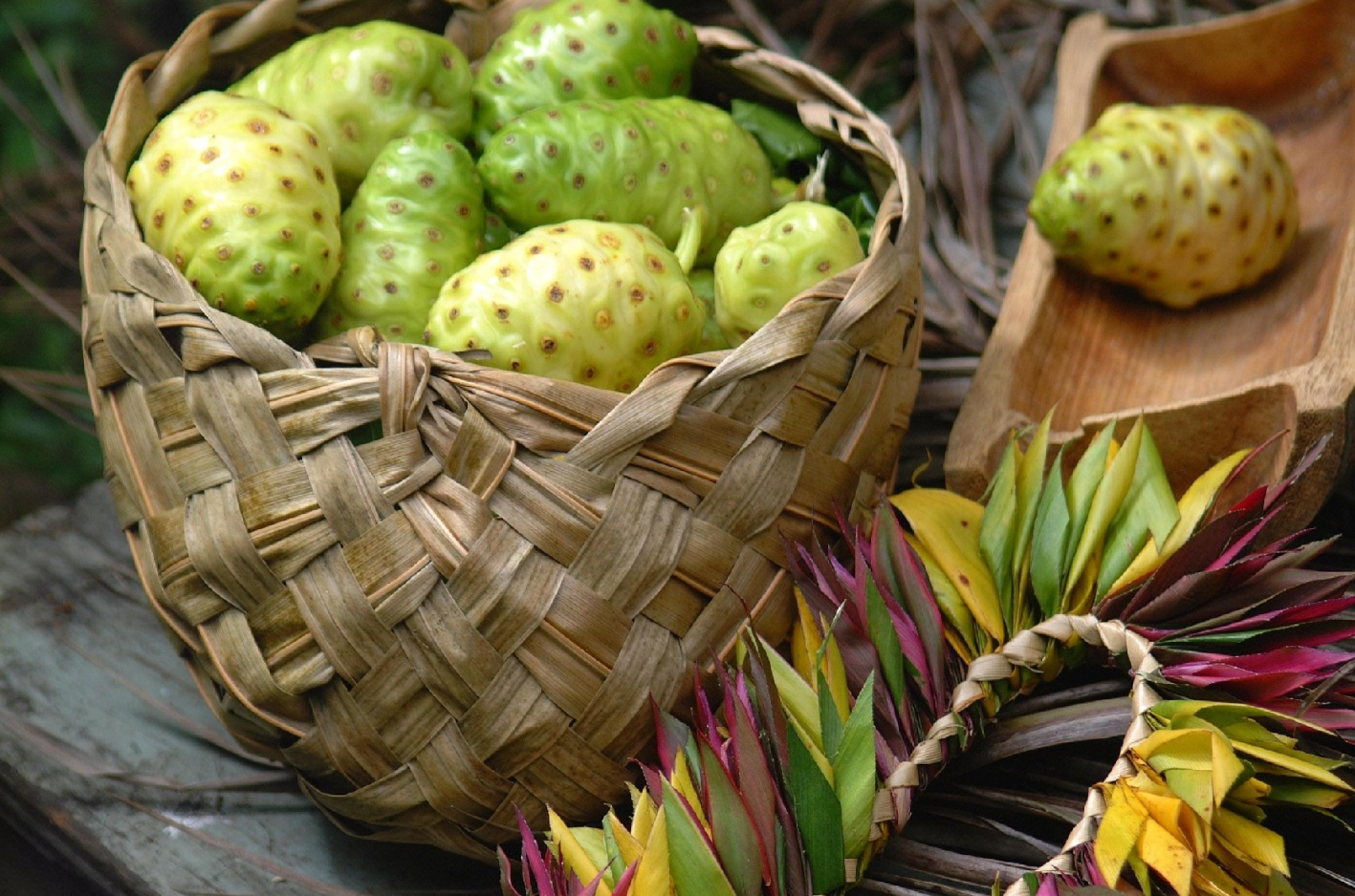Noni Fruit Benefits for Better Life FRUITS