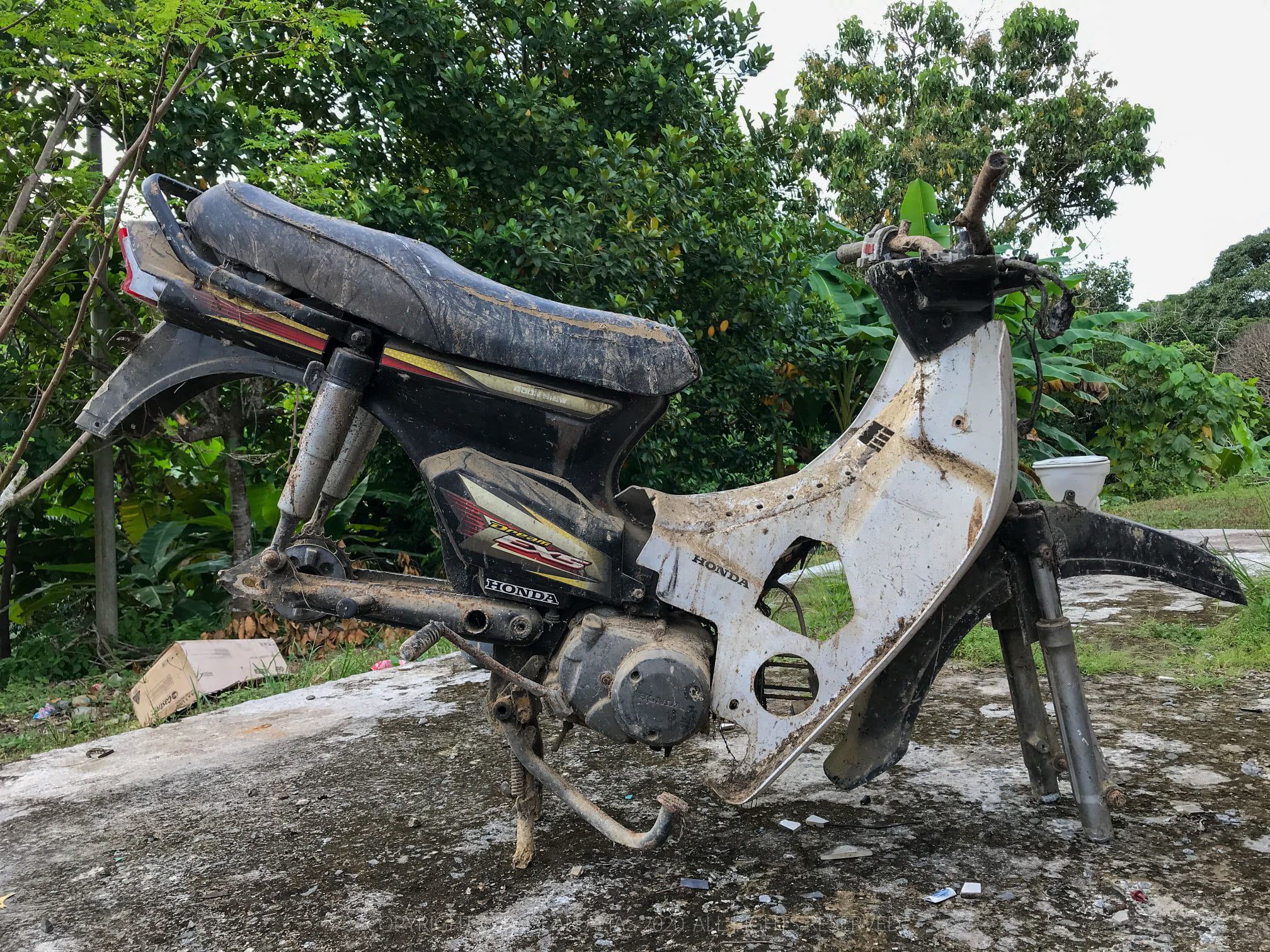 Restorasi Honda EX5 Dream