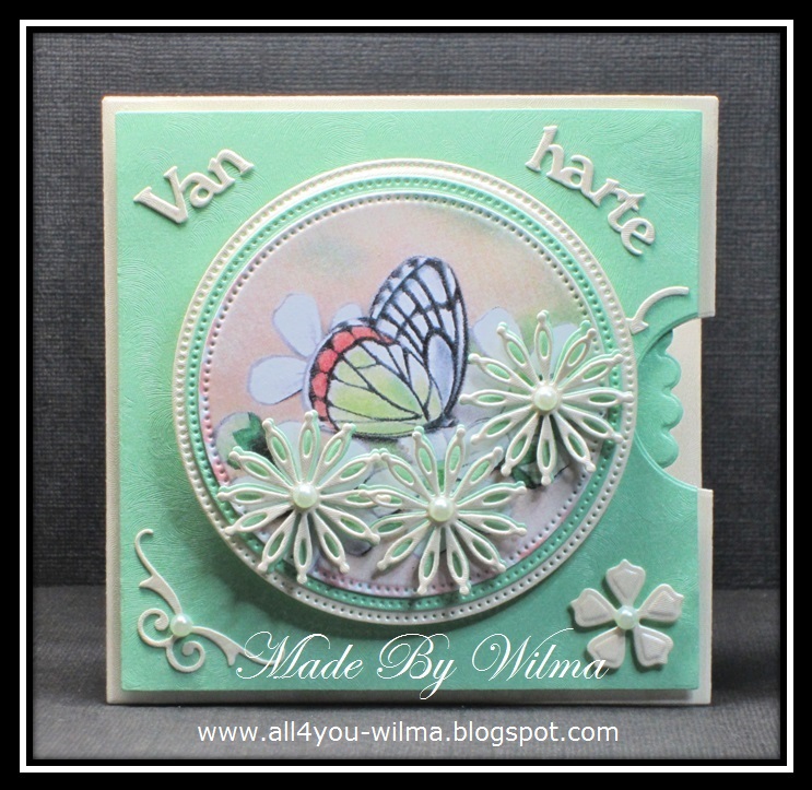 LL 4 YOU Draaikaart Spinning Wheel Card. Van harte Congrats