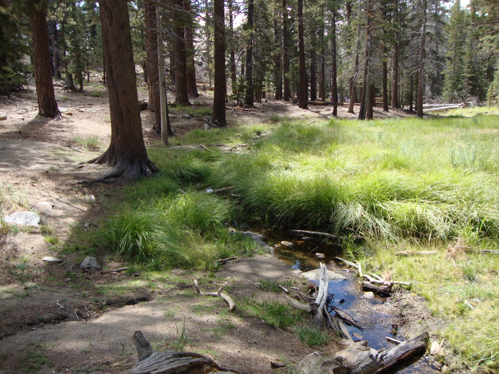 Palm Springs To Do & See Palm Springs Cable Cars