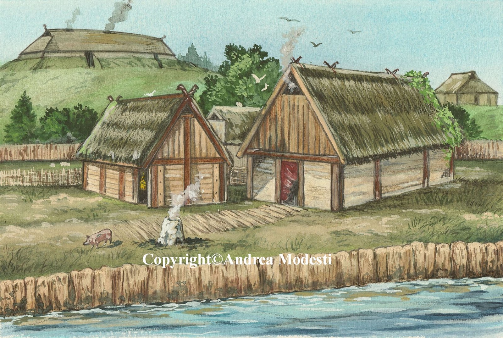 Andrea Modesti Art and Illustration Viking houses