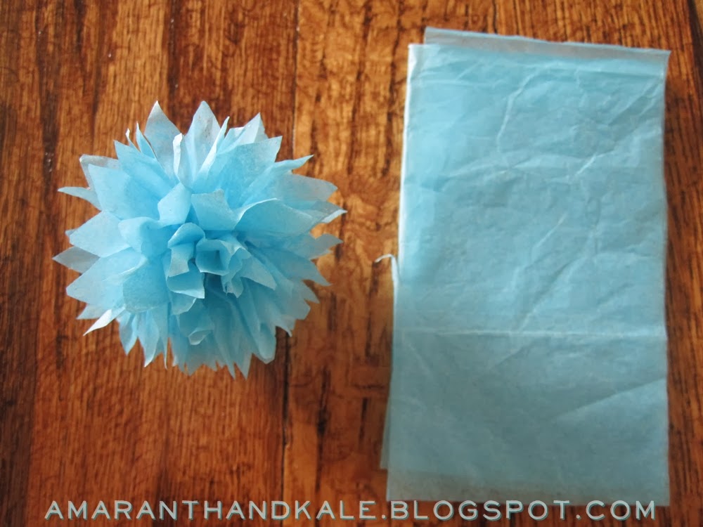Amaranth & Kale Tissue Pom Pom Garland