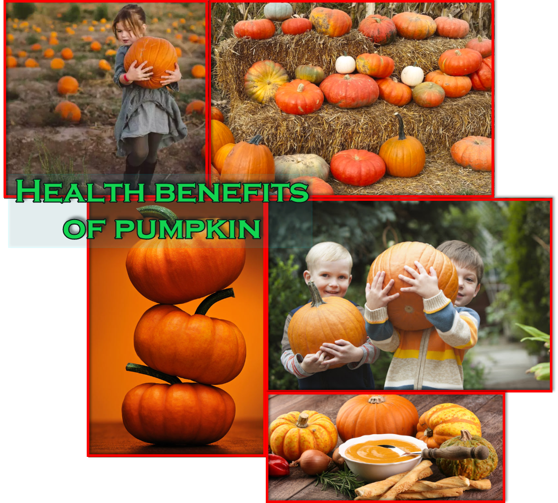 Health benefits of pumpkin Ocean Of Health Tips