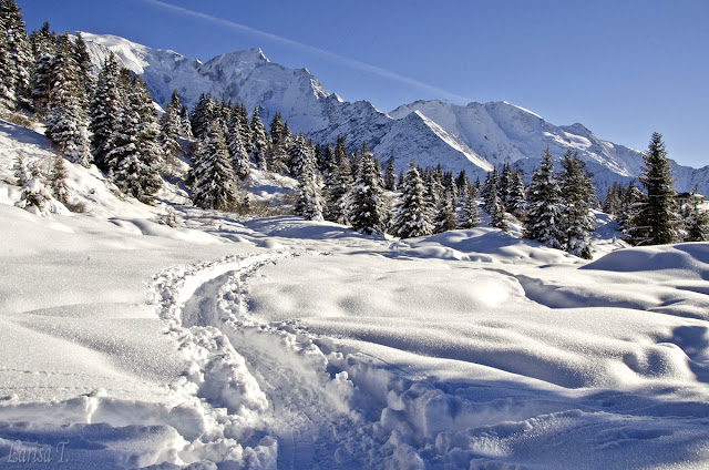 Prarion Les Houches Mont Blanc