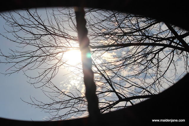 Ramblings on Ordinary Days and Reality