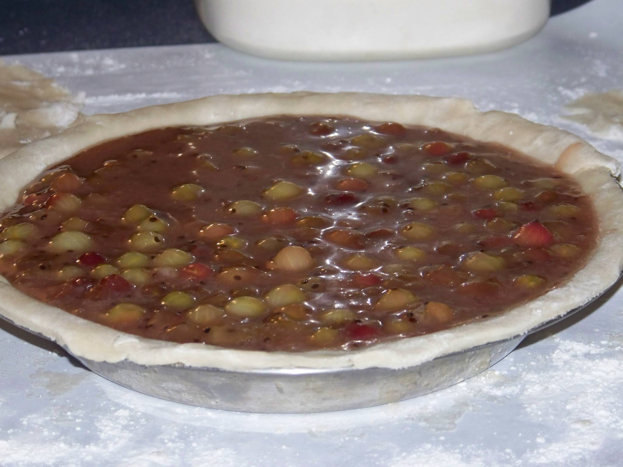 Hickery Holler Farm Gooseberry Pie