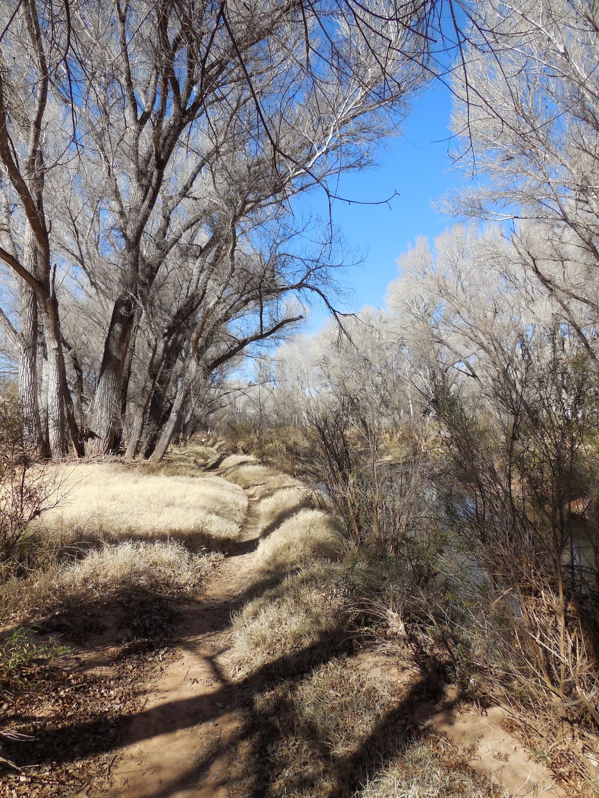 Exploring the American West: San Pedro River from the San Pedro House ...