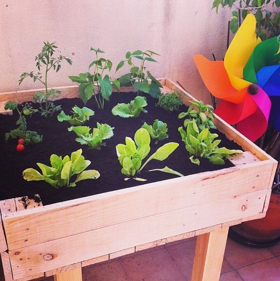 Huerto urbano para terraza