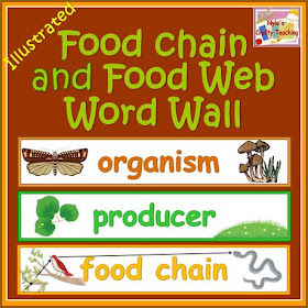 Nyla's Crafty Teaching: Food Chain and Food Web Vocabulary Words