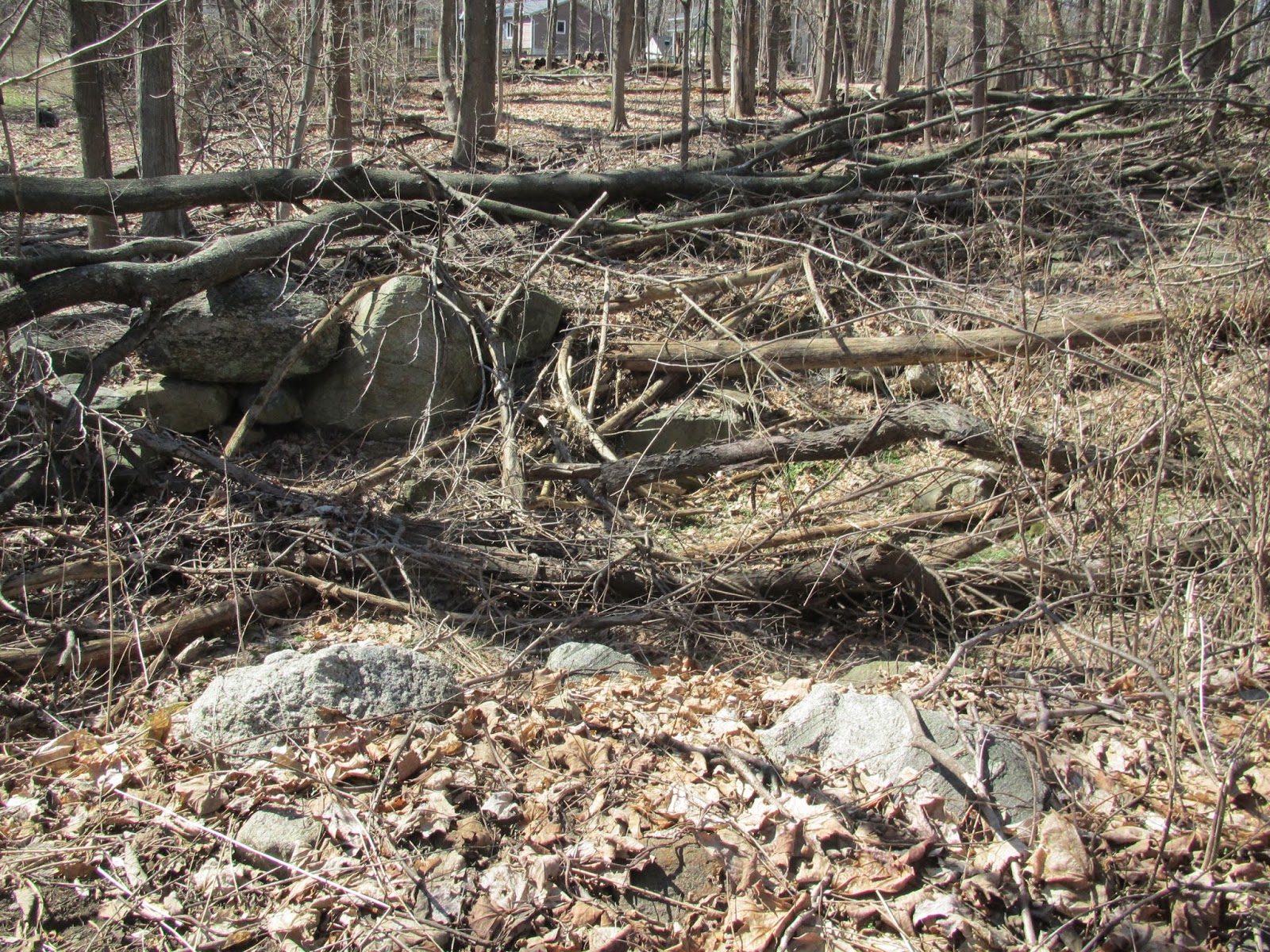 Joel Campbell (17351828) His Life and Times A Visit to Continental