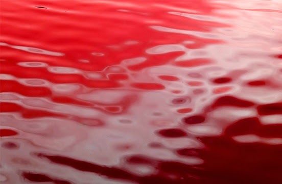 ipuwer papyrus water turn to blood ipuwer papyrus water turn to blood