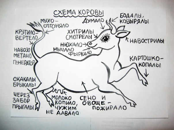 Схема слова корова. Коляда я корову за рога. Рога коровы схема своими руками. Как одеть доску на рога корове.