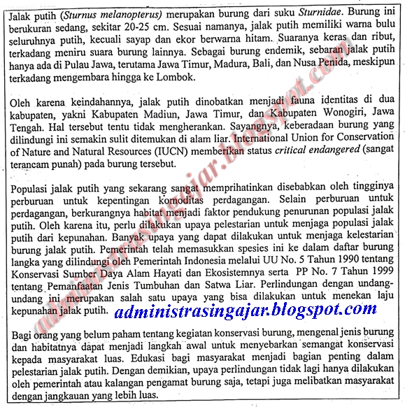 Soal UNBK Bahasa Indonesia SMA/MA Tahun 2019 dan Kunci