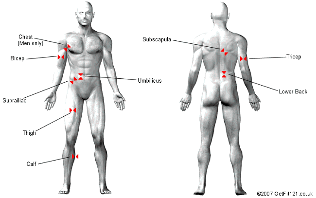 Free Body Fat Test 59