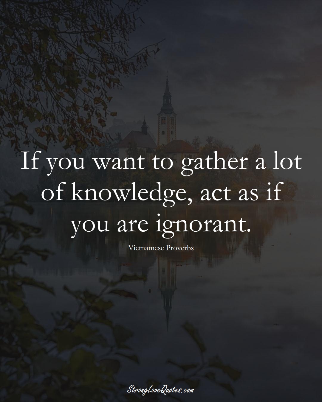If you want to gather a lot of knowledge, act as if you are ignorant. (Vietnamese Sayings);  #AsianSayings