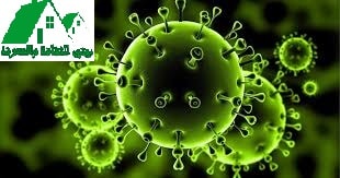فيروس كورونا | كل شيء عن عدوى فيروس كورونا التنفسي كيف تنتقل فيروسات كورونا الناشئة؟