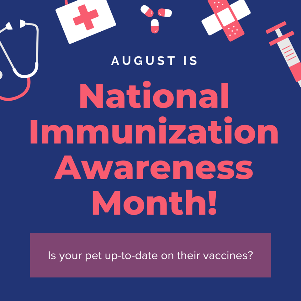 National Immunization Awareness Month National Immunization Awareness Month