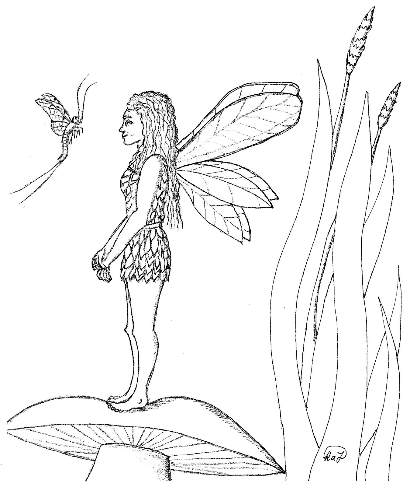 Featured image of post Fairy Sketch Mushroom See more ideas about fairy sketch fairy drawings drawings