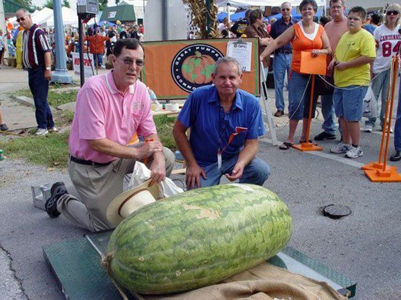 Них представлены в огромном. Огромная куча денег. Огромная гора денег. Них представлены в огромном. Самая большая тыква.