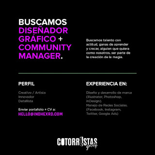 redes sociales empleo internet