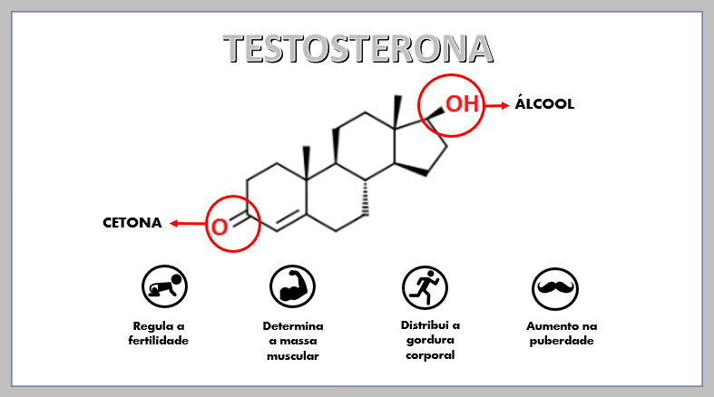 Imagem na Química: Funções Orgânicas Oxigenadas: Hormônio masculino ...