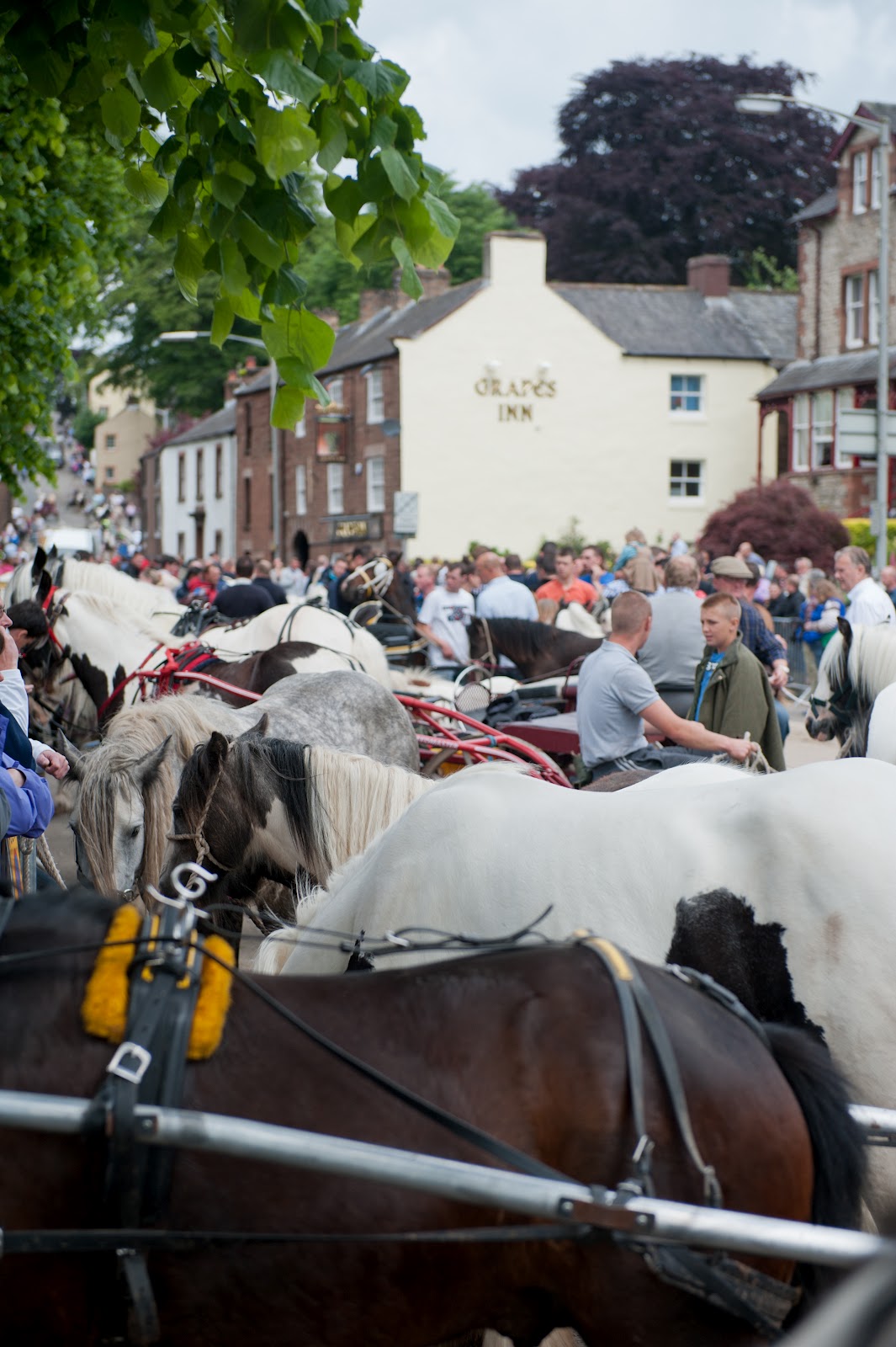 Eternity Images Photography Appleby Horse Fair . A gathering of