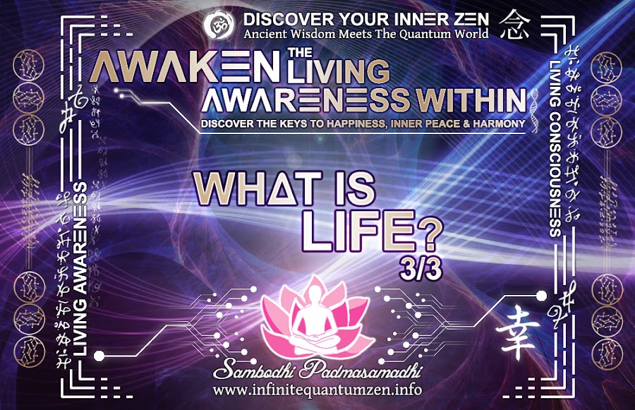 What is Life? 3 of 3 - The Essence of Life, Awaken The Living Awareness Within (Mindfulness, Awareness, Samadhi), Happiness What Is Life? 3 of 3 - All Life Exists in an Interconnected Web - Infinite Quantum Zen, Successful Life