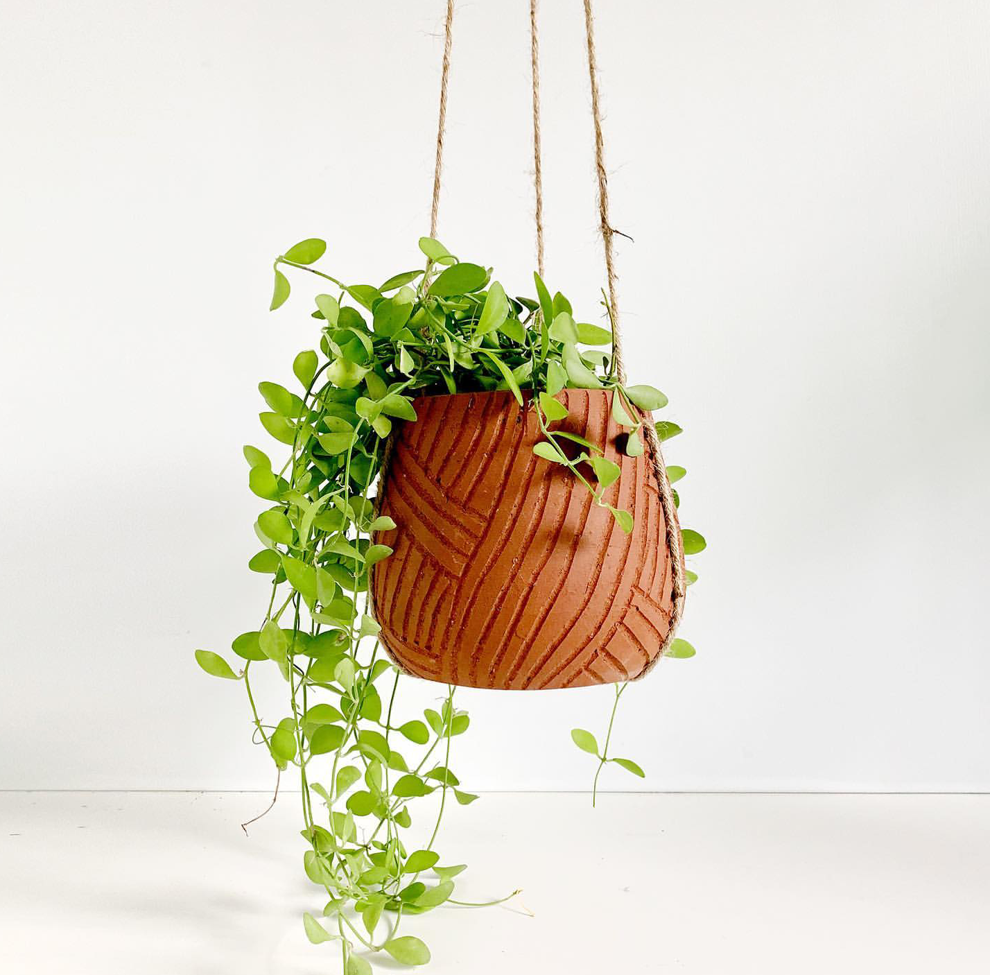 Ini Dia 5 Model Pot  Bunga Tanah Liat Yang Bisa Bikin 