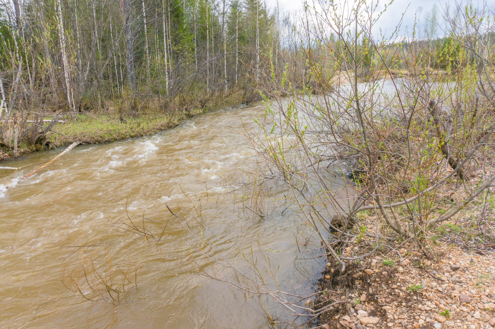 Река баранча