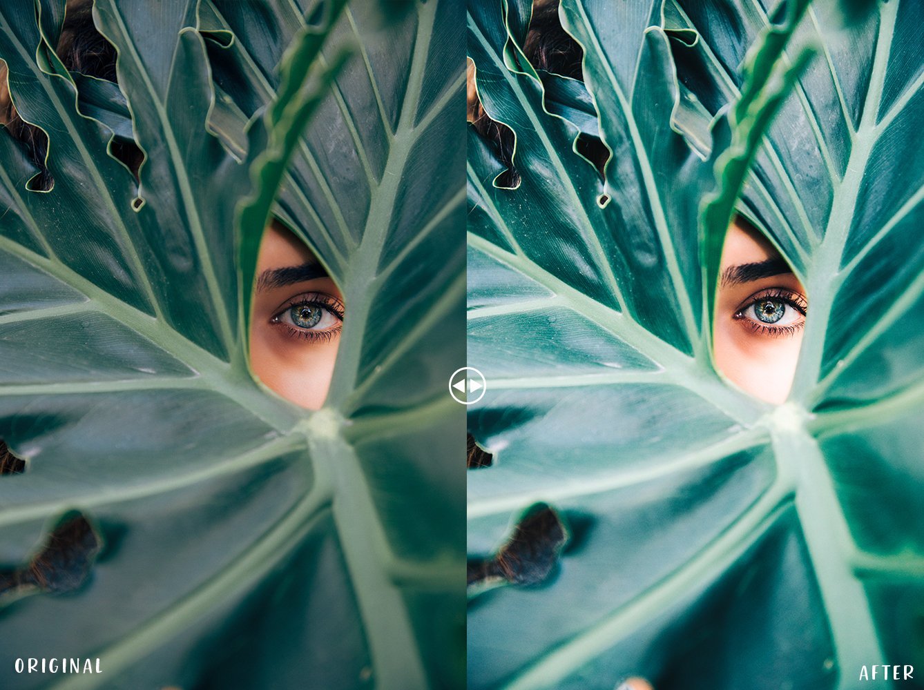 30 VSCOcam Inspired Lightroom Preset (LR)