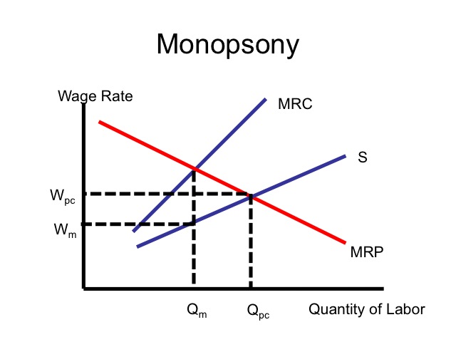 MONOPSONY Education