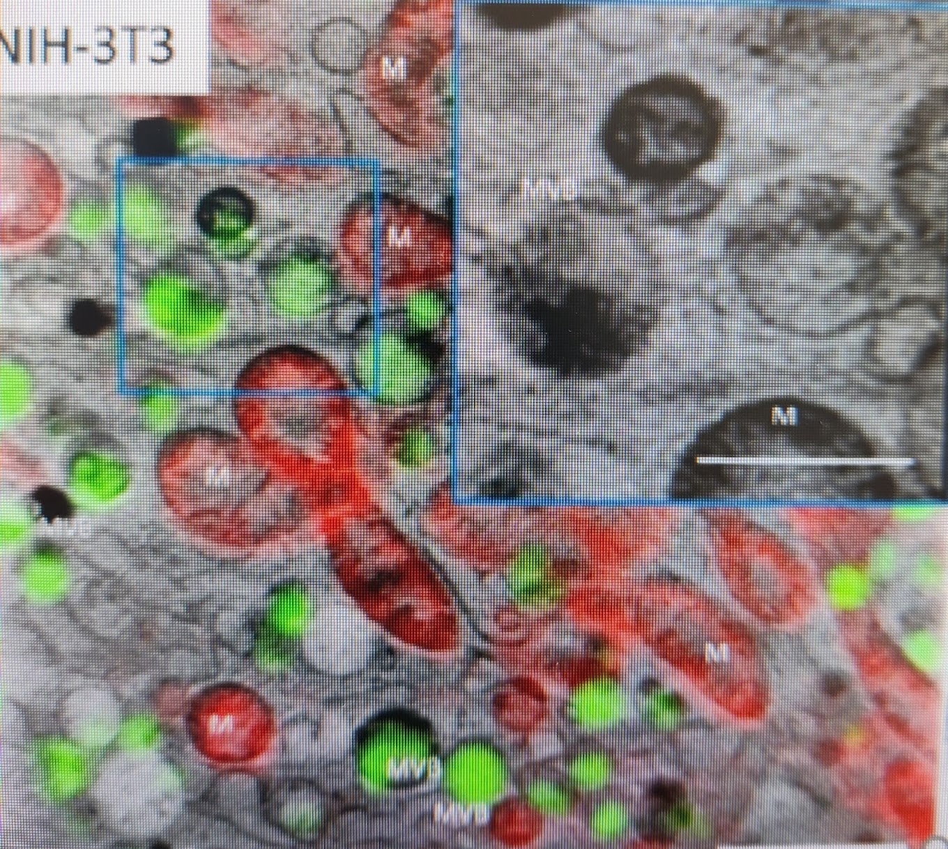 From our thrid paper of 2021. Chem Science