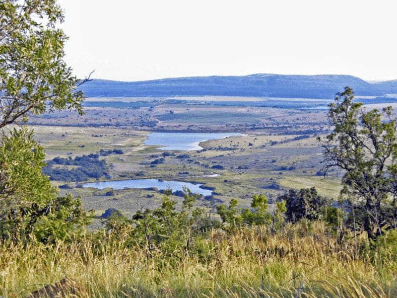 Game Farms For Sale Limpopo GAME FARM FOR SALE IN LIMPOPO 973 ha