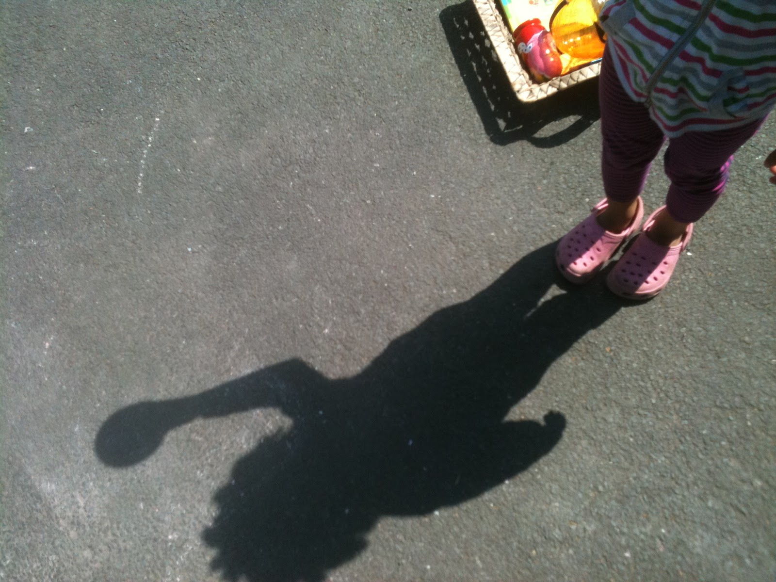 Homeschool Escapade: Shadow Science