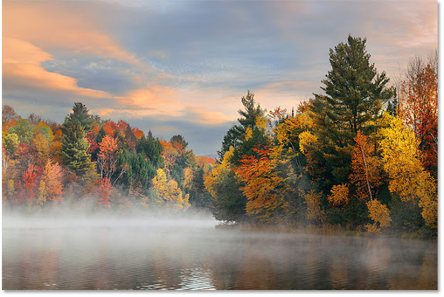 صورة أوراق الخريف من Adobe Stock - انشاء تاثير سبلاش اللون بالفوتوشوب - تصميمات للمبتدئين - تصميمات فوتوشوب- فوتوشوب للمبتدئين