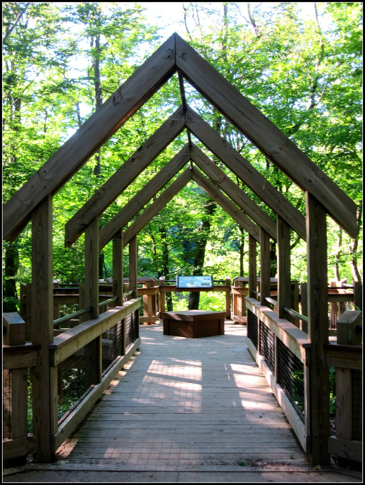 My Little Corner of the World Grand River Ravines Park