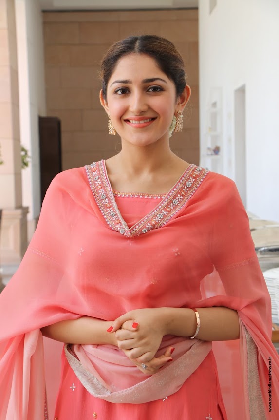 Sayyeshaa Saigal at Kadaikutty Singam Success Meet