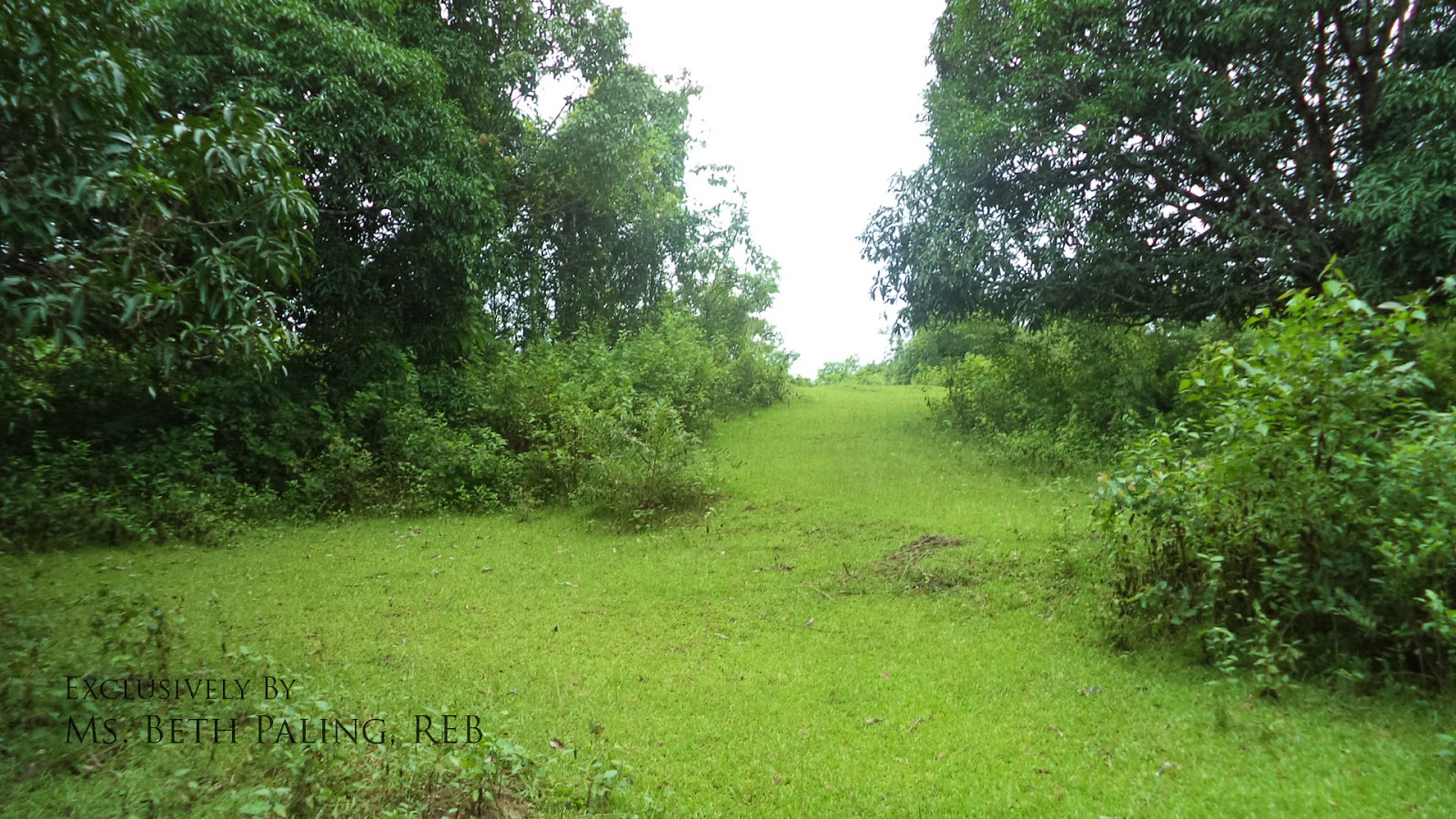 Pangasinan Properties Land for sale in Capulaan, Villasis, Pangasinan