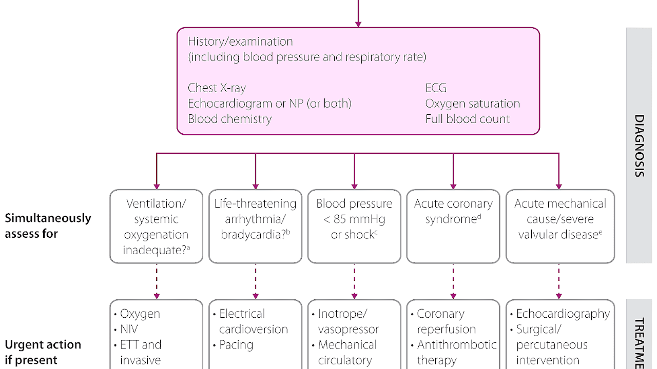 Acute Exacerbation Of Heart Failure Hear Choices