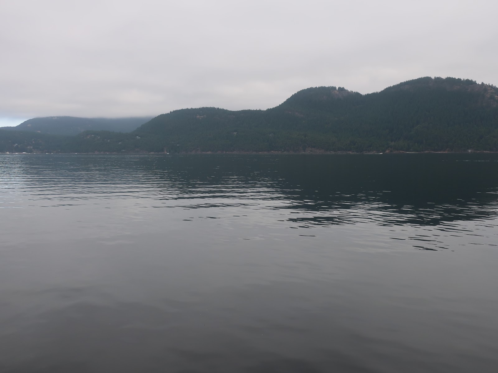 Reading the Washington Landscape Washington State's Most FjordLike