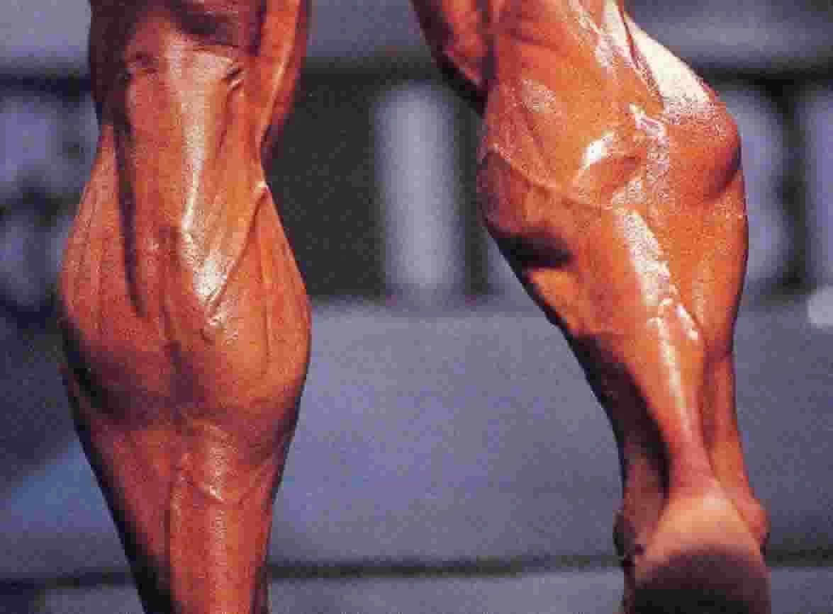 Daily Bodybuilding Motivation Exercise Tips Biggest Calves in the World