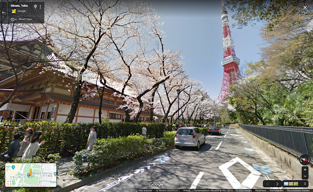 Het kersenbloesemseizoen in Tokio.