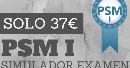 PSM-I Testfagen