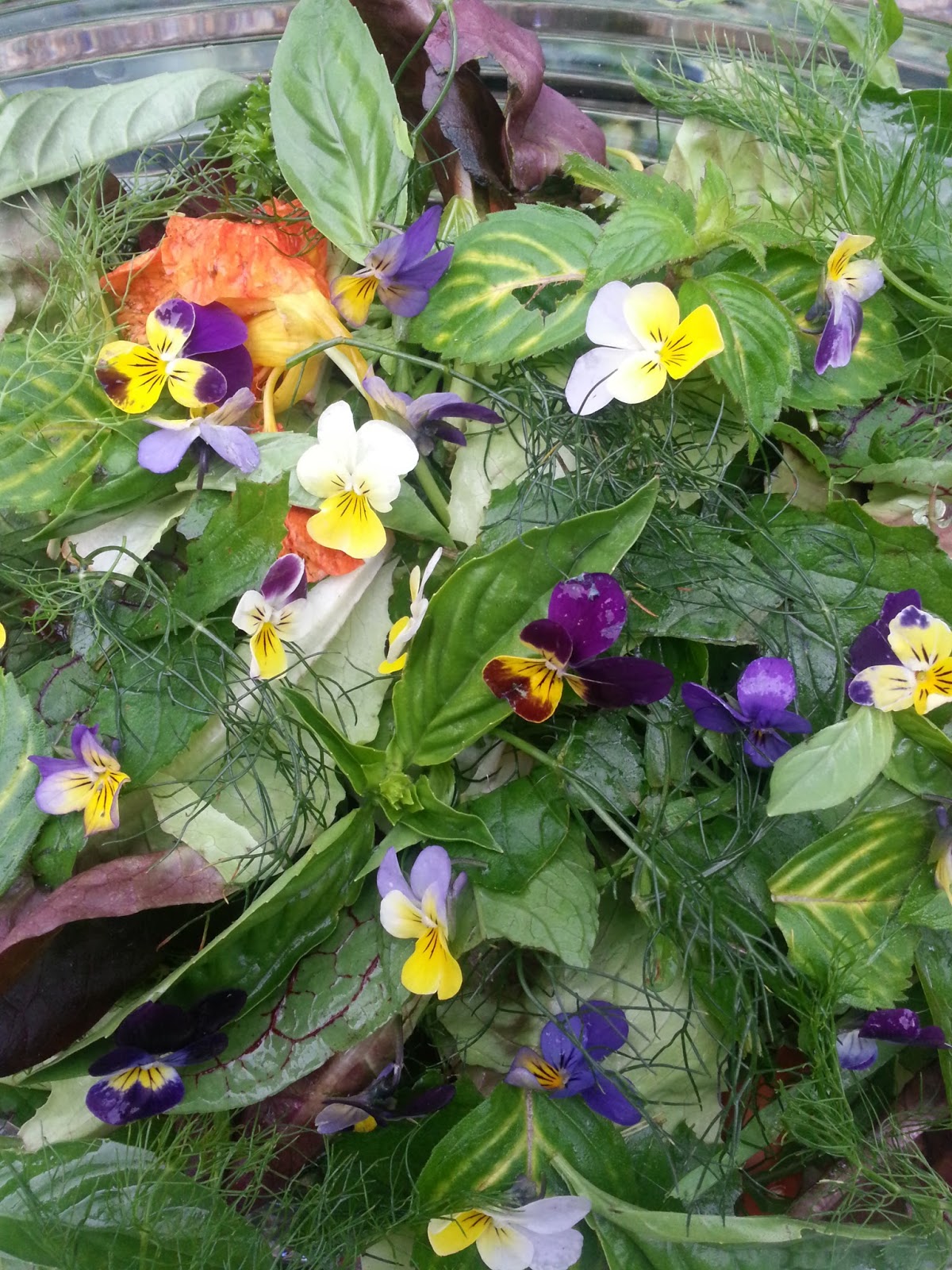 Edible Flowers for Leafy Green Salads