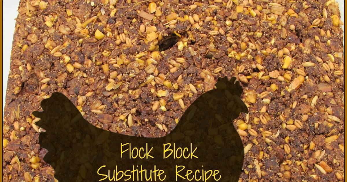 The Chicken Chick?? Flock Block Substitute Recipe. Healthy Boredom