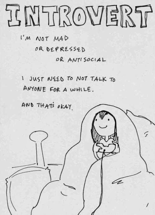 I'm introvert