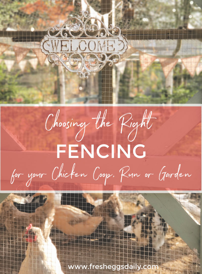 Chicken Wire: Your Garden's New Best Friend - eDecks Blog