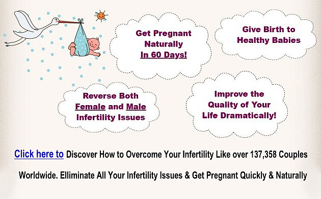 Pregnancy Miracle System Features and Benefits